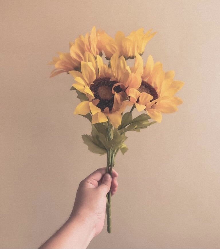 Cisco2946 live webcam