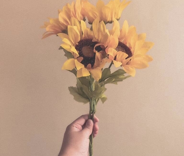 Cisco2946's Offline XXX Chat