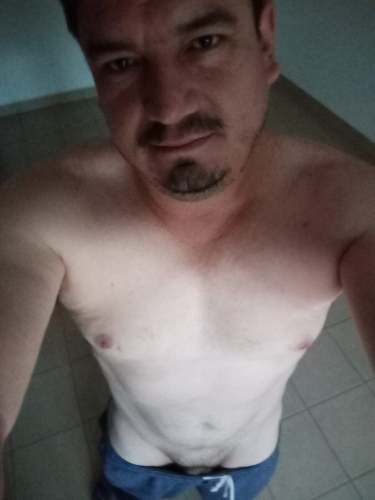 Gesem83