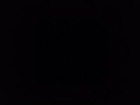 alpha_hard's webcam live show