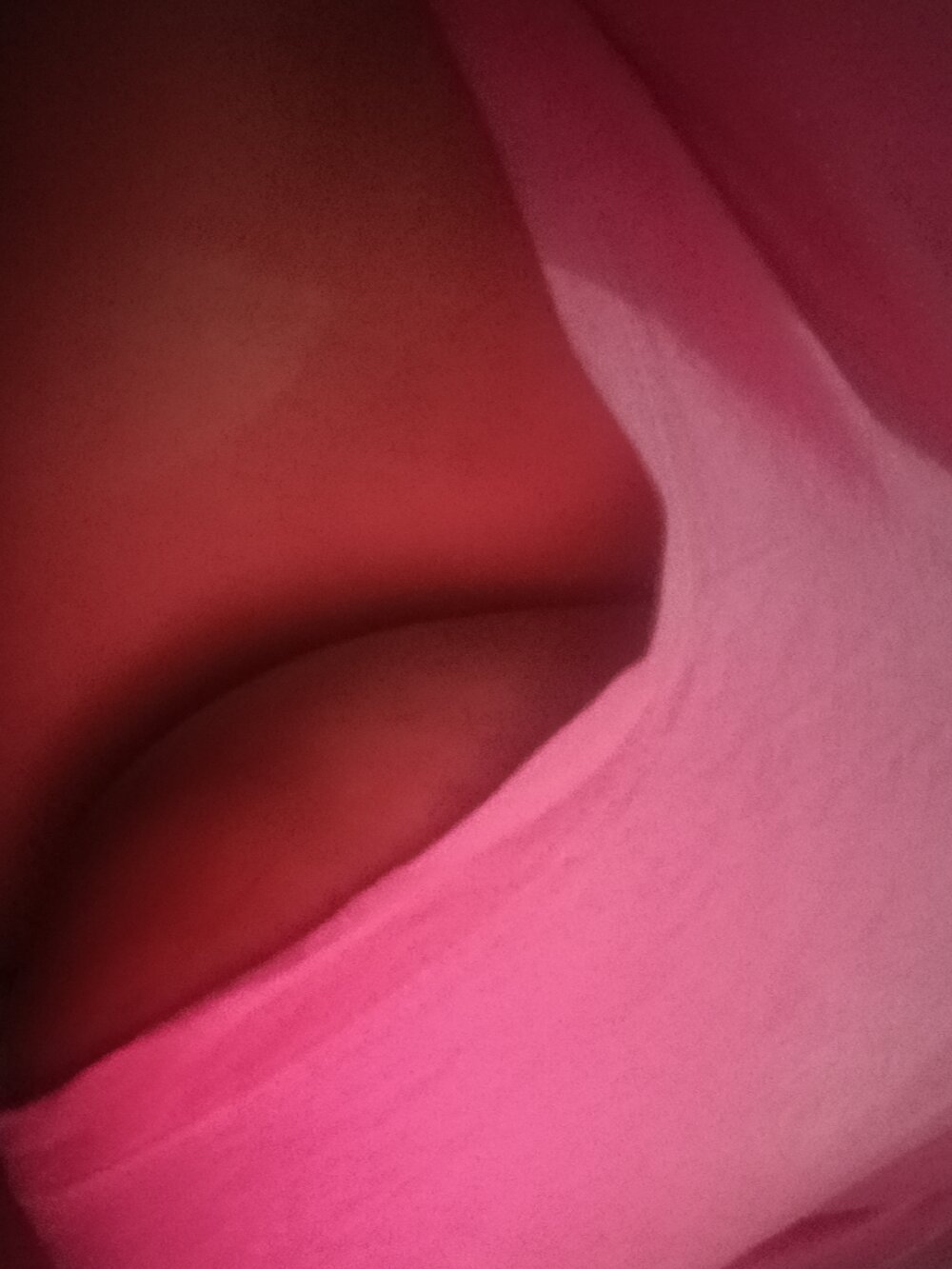 malakaee's Offline XXX Chat