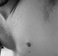 Renard_sk - Live Cam