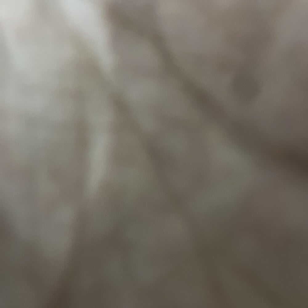 bestawardyear from stripchat