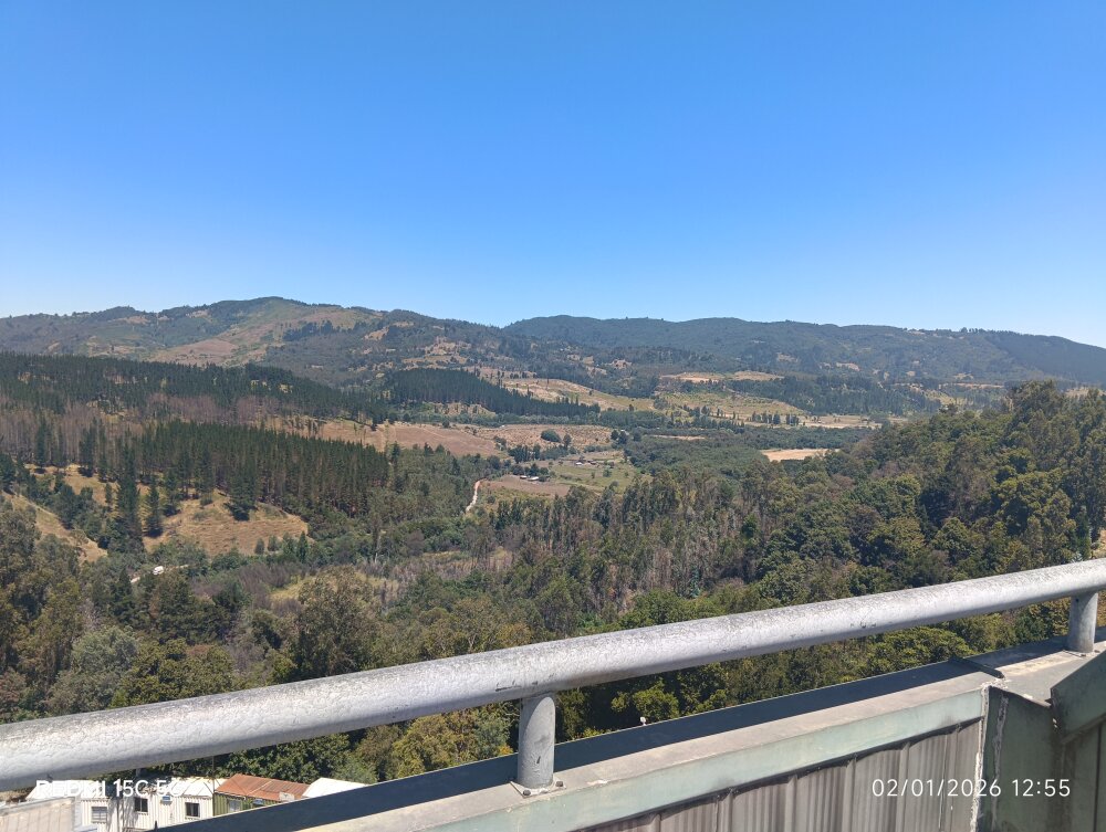 Elcalifa - StripChat cam model profile and statistics