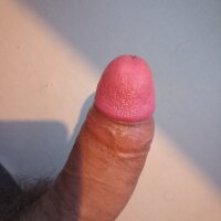 Dilan_2001