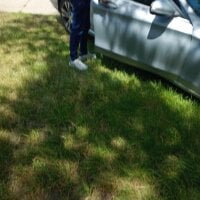 THESUPERIORWON's webcam live show