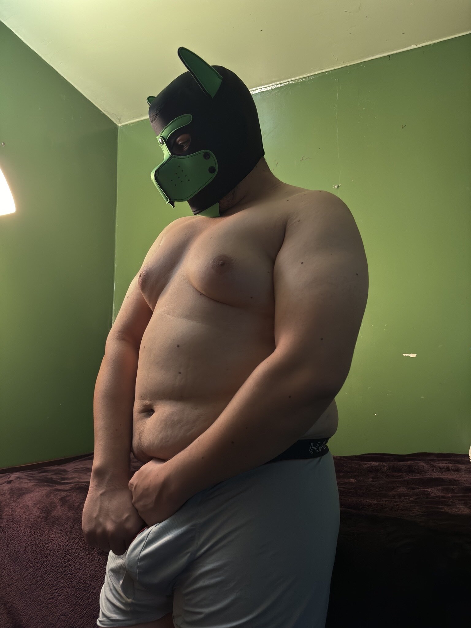 HungLatinBull