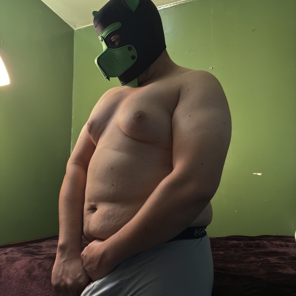 HungLatinBull