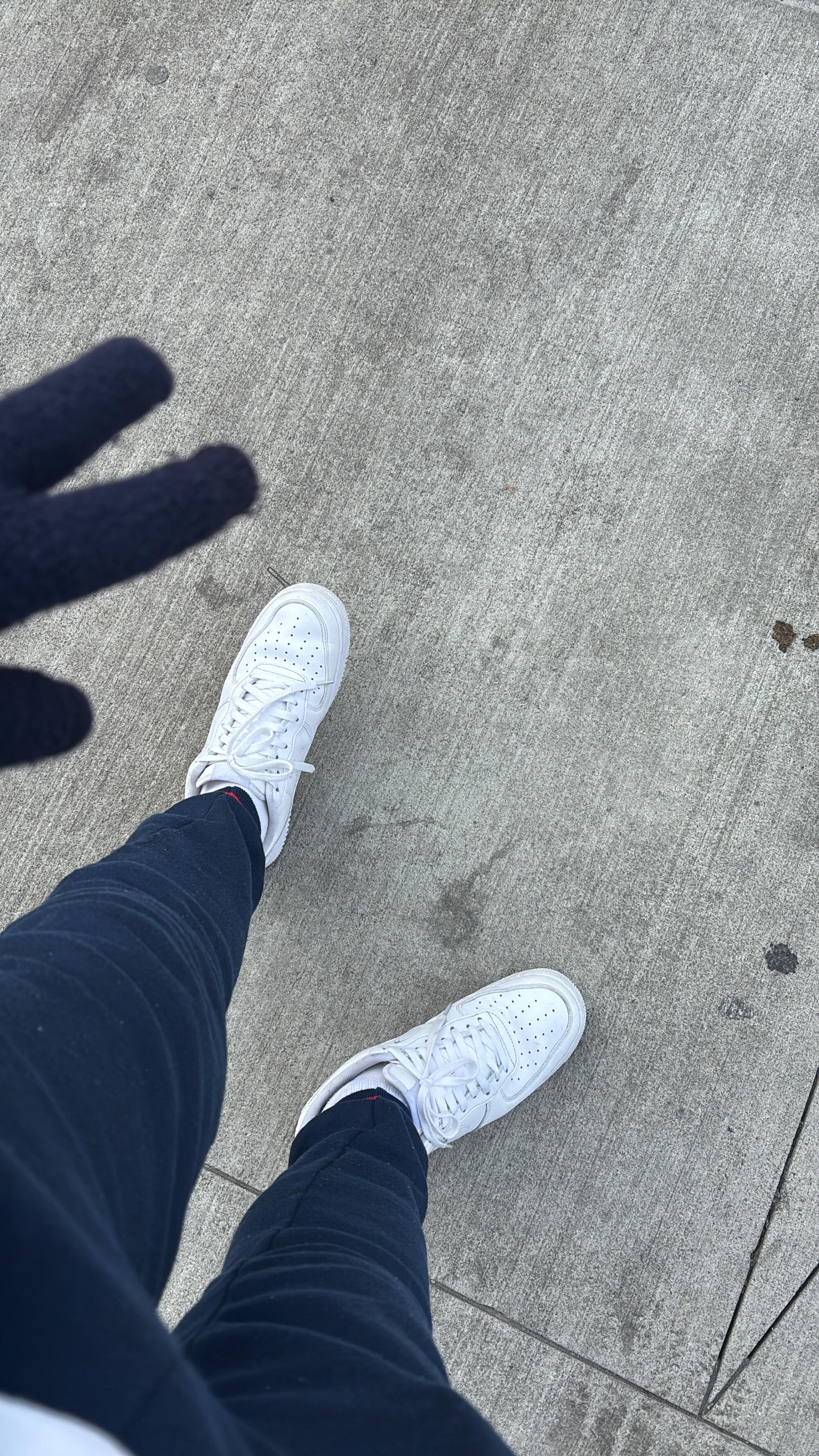newyorkvnzl