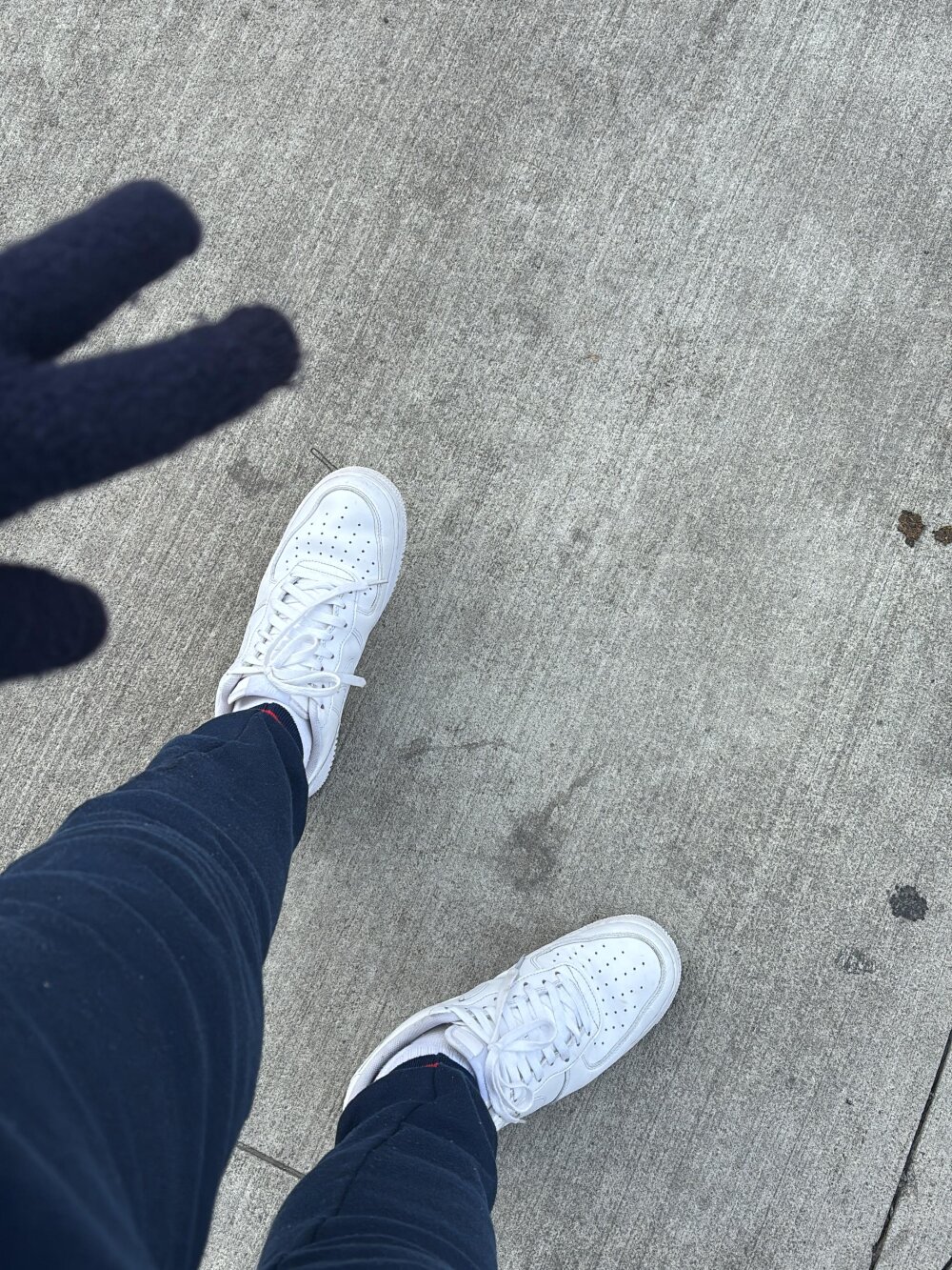 newyorkvnzl