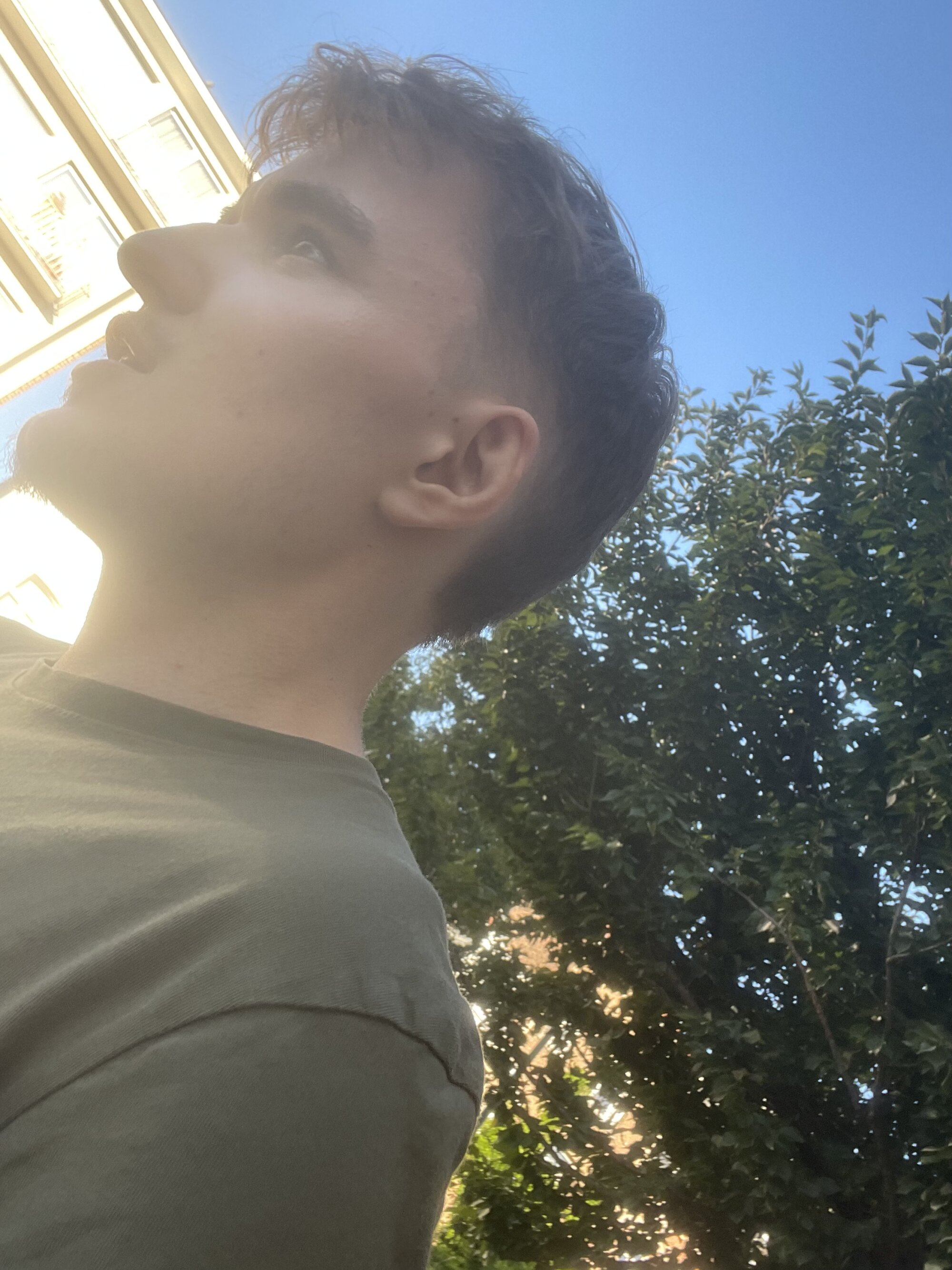 tristan_12273