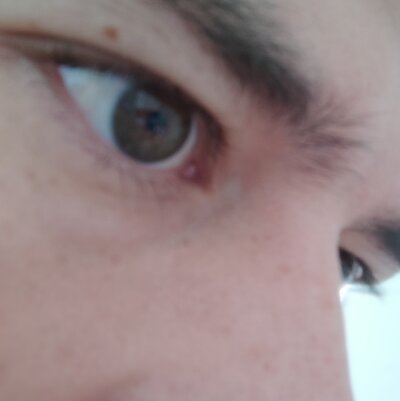 I_will_show_you_something Avatar