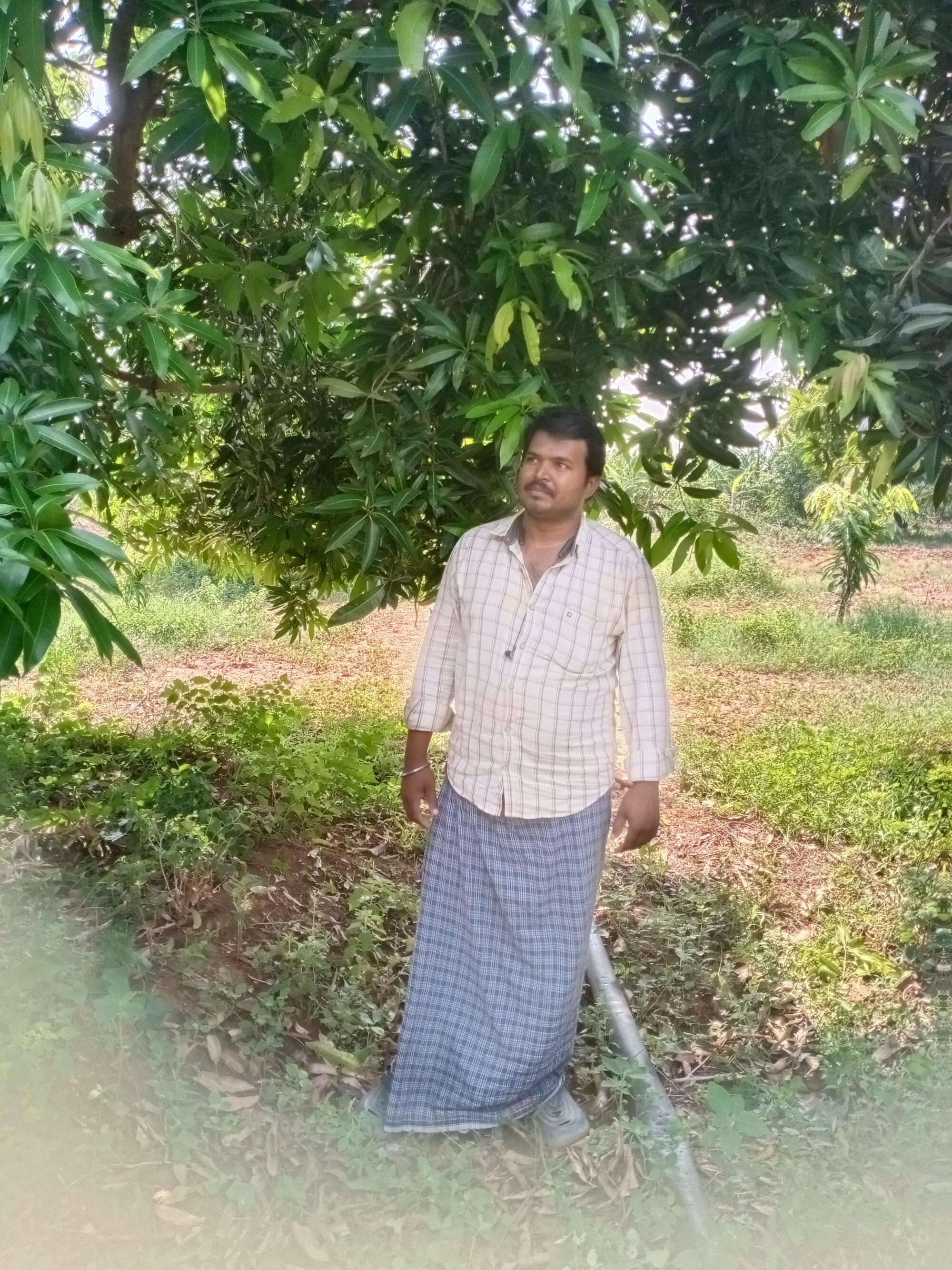 mabu_mabu