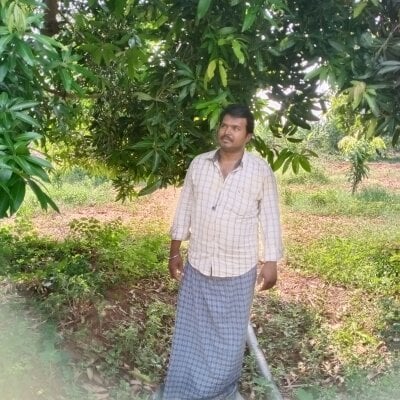 Mabu_mabu