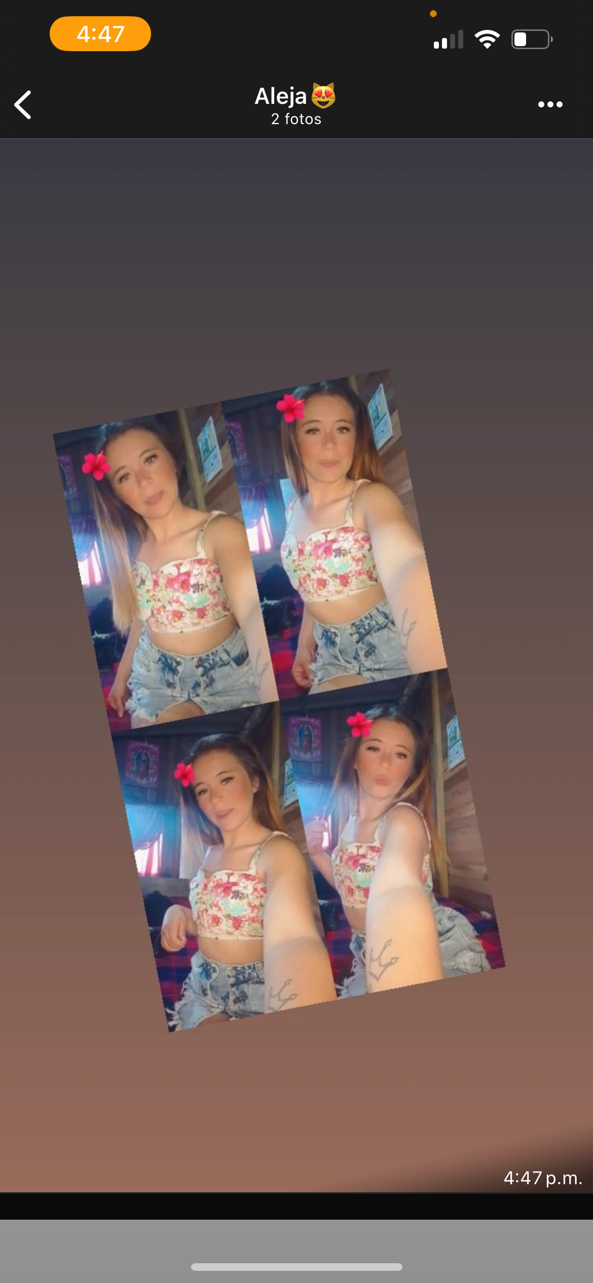 dayanarrb