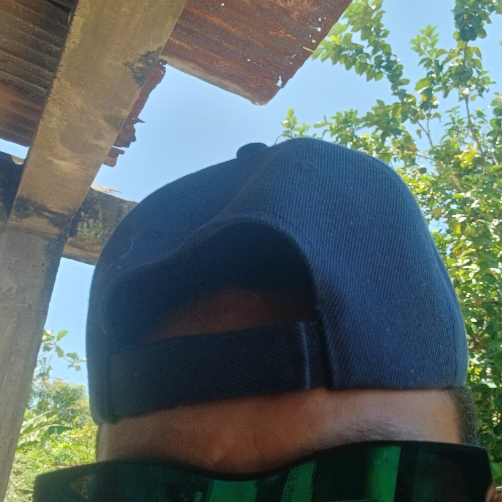 EGDO99 profile