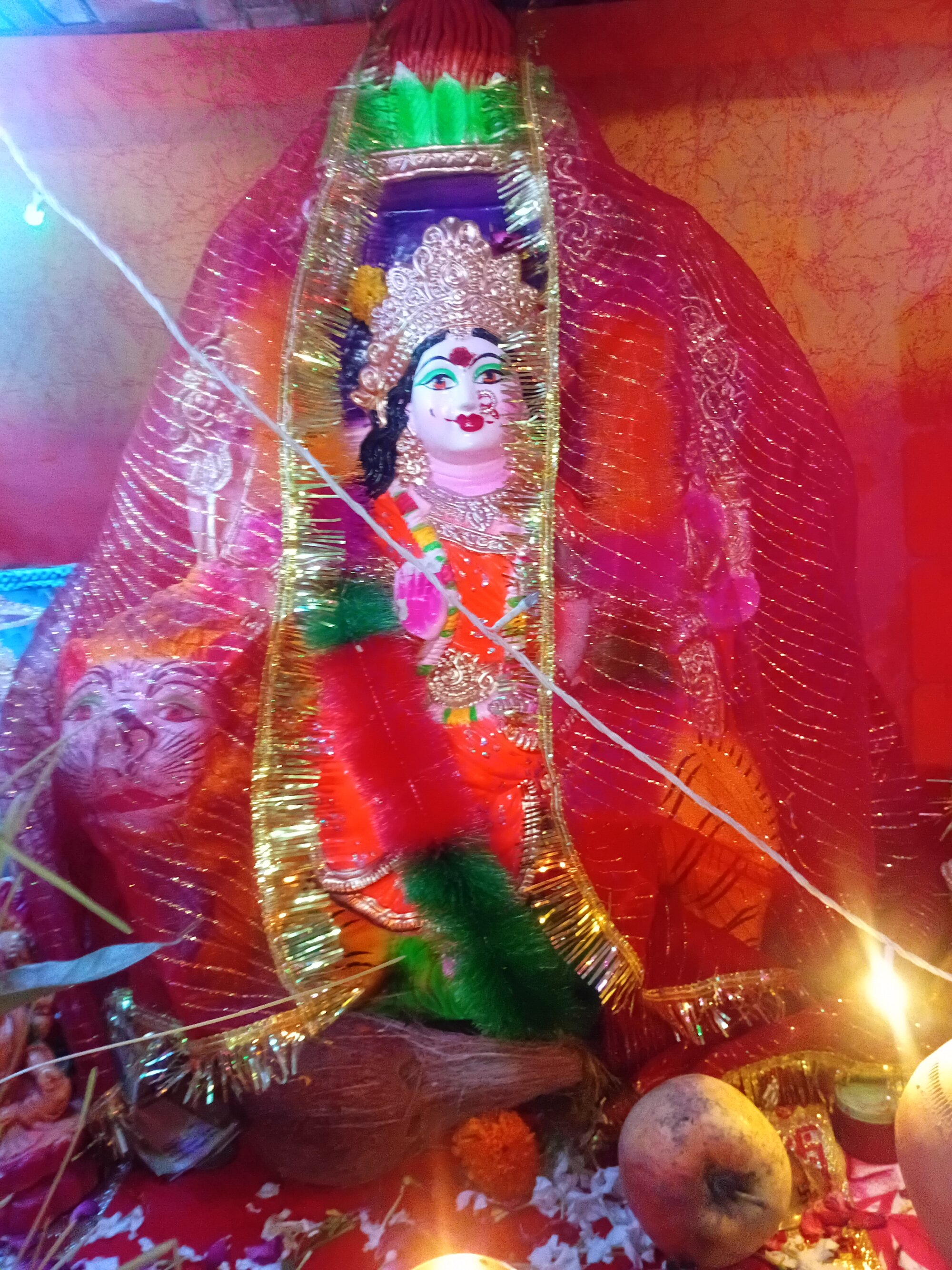 ridhi321