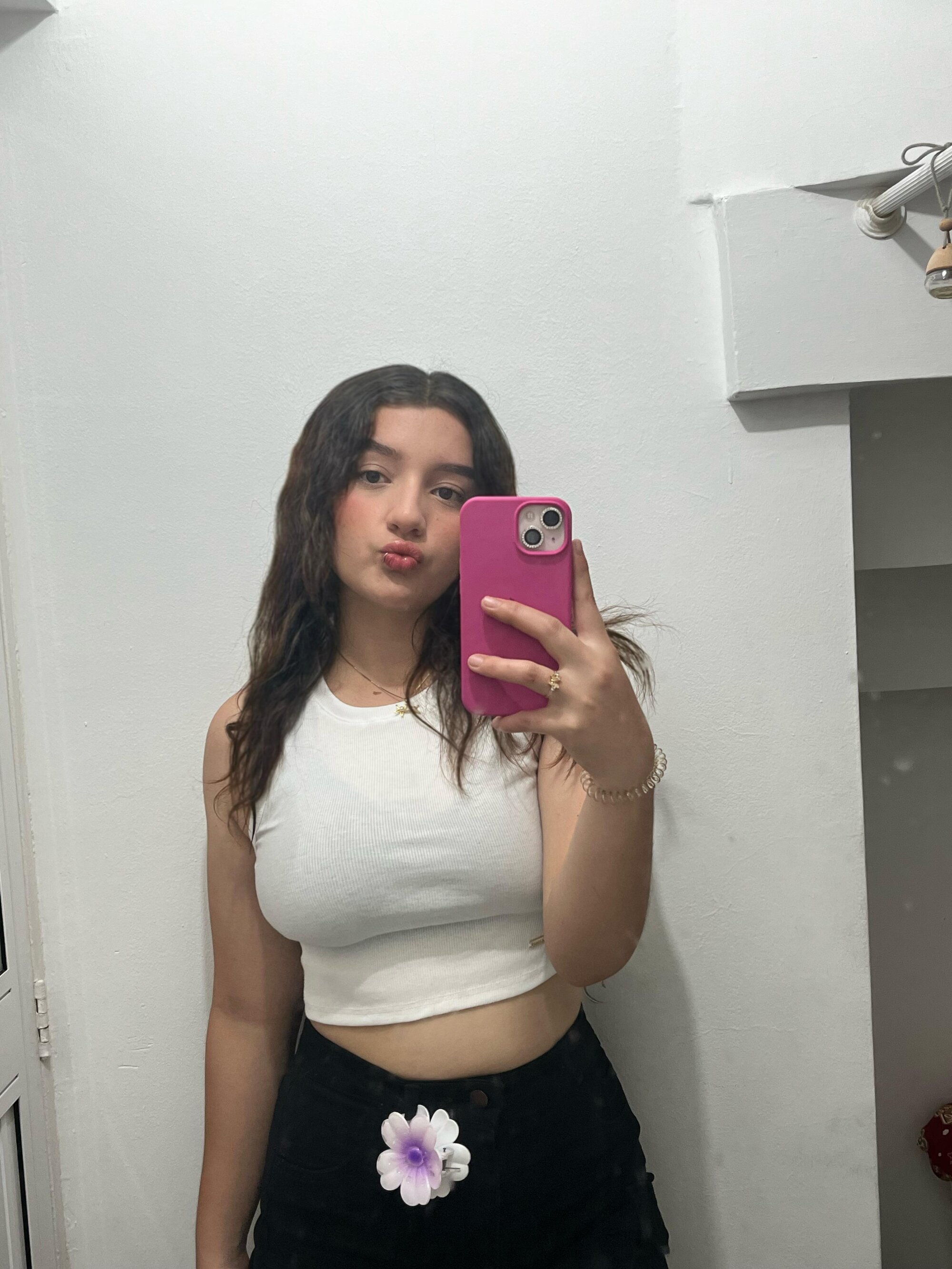 ISA_NICE