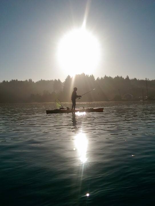 rynoxox's most recent online preview