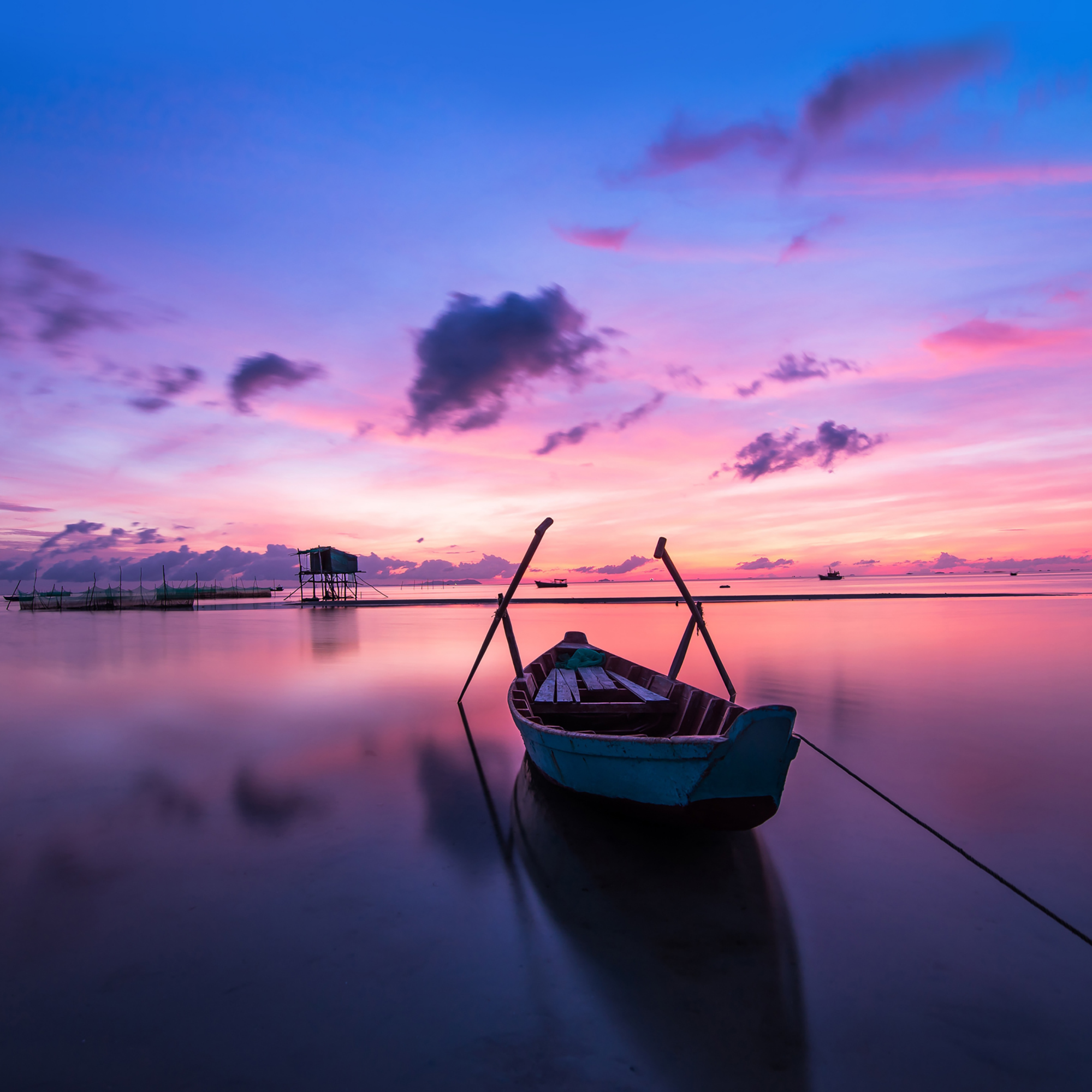 Ali_1302 live webcam