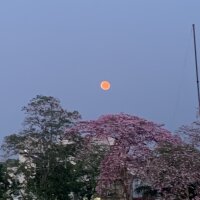 易发游戏大厅{专业代发tg:@df6659}数亿娱乐手机版-华克国际&xmpv ...