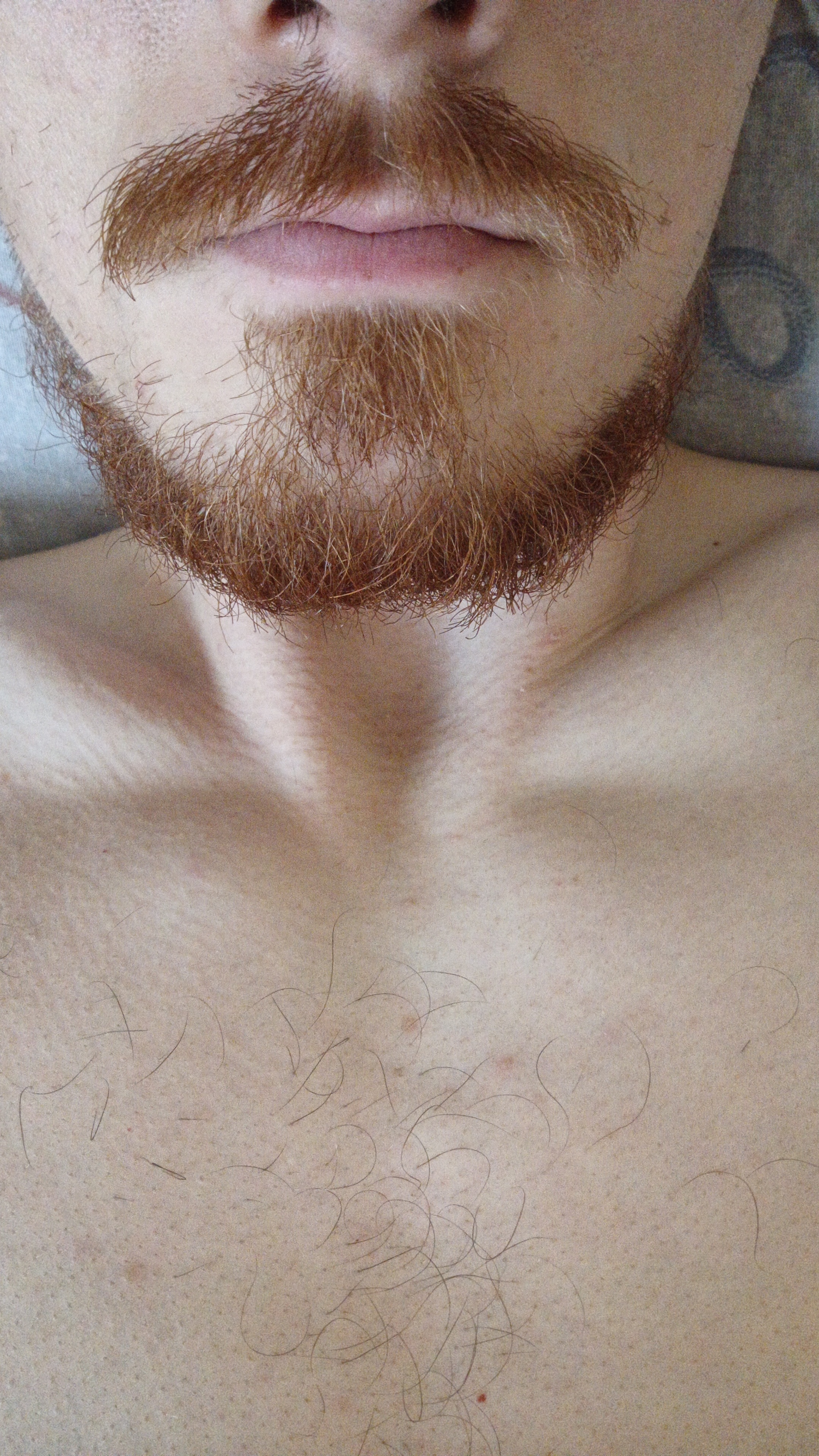 Alexxander25