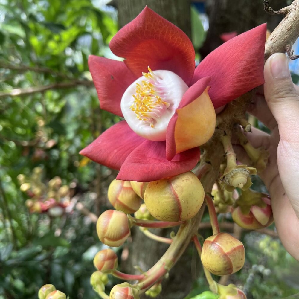 sexcityguide.com lovedirty3x livesex profile in where-dreams-lead cams