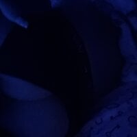 Monsteraddict27's Offline XXX Chat