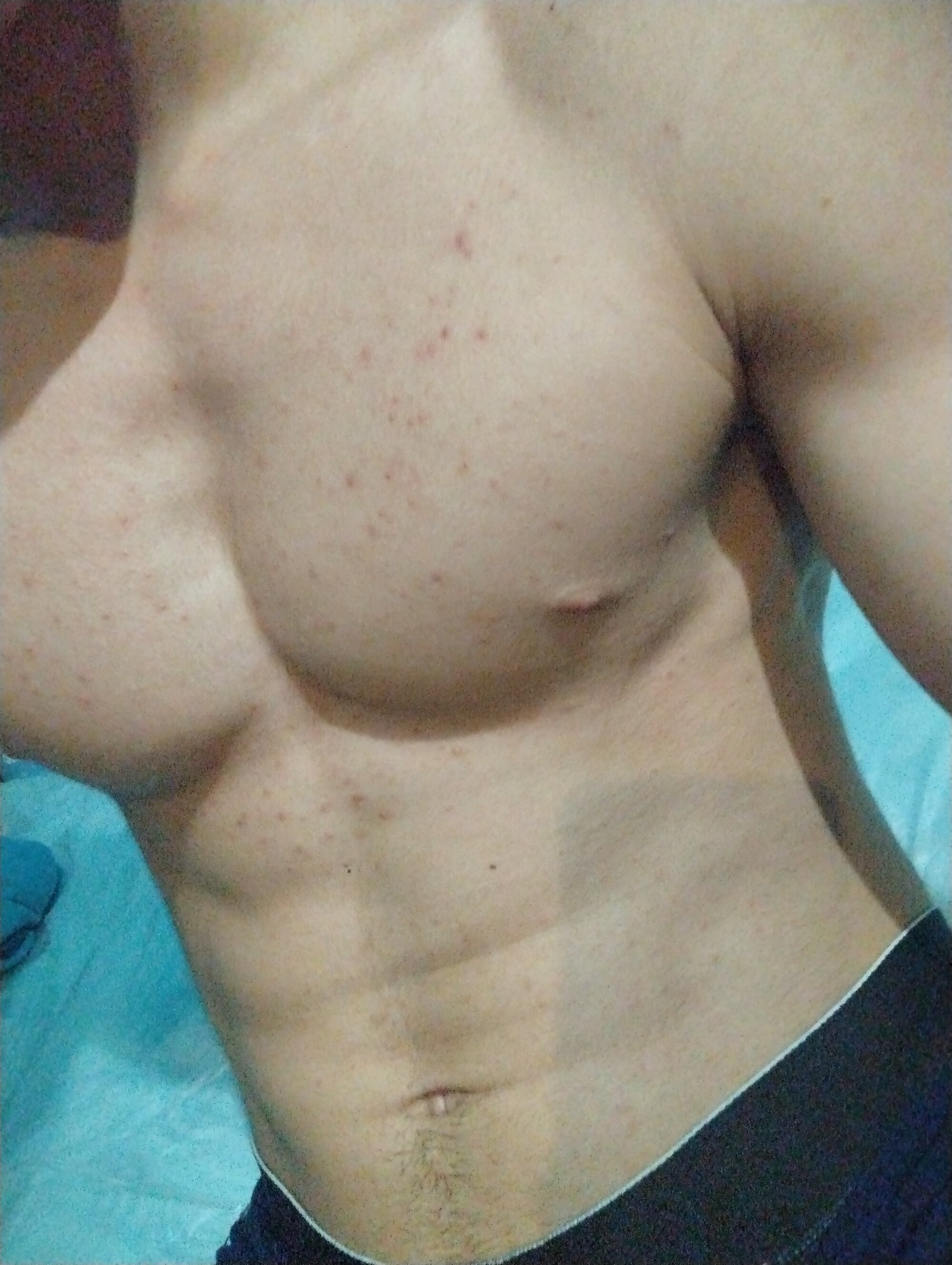 Alexander12_23_