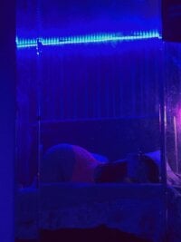 Cute-Playful-Louise's Offline Chat Room