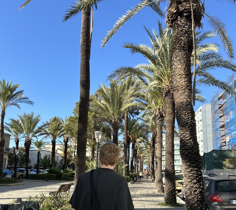 findick's Offline XXX Chat