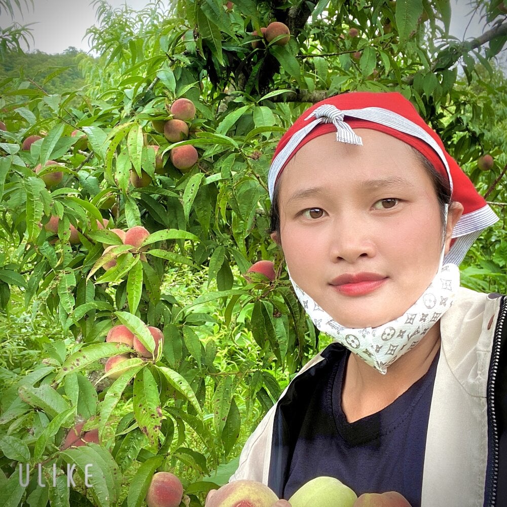 Qansin profile