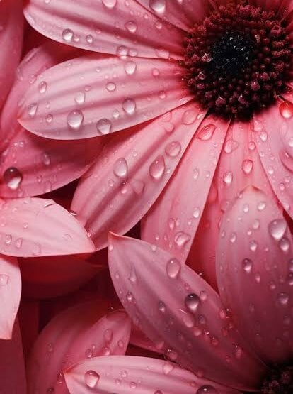 bestlivesexchat.com baianadepravada livesex profile in off-the-planet cams