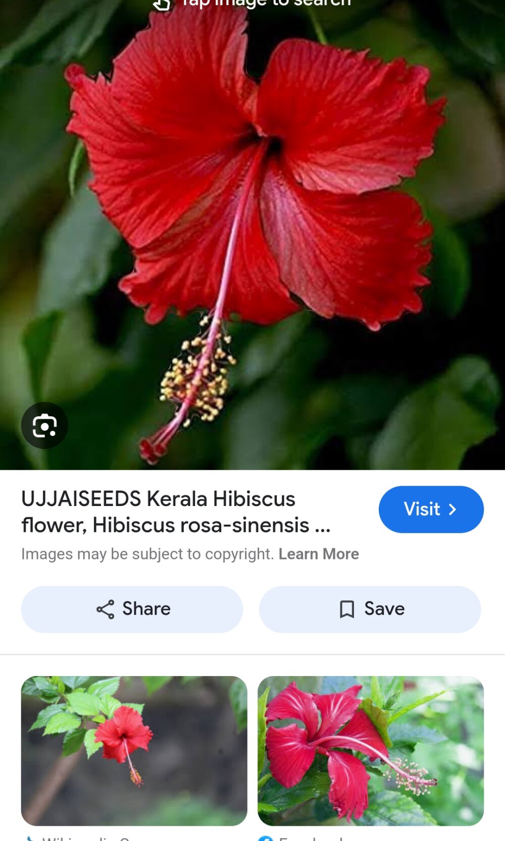 DryMeOut0000's Offline XXX Chat