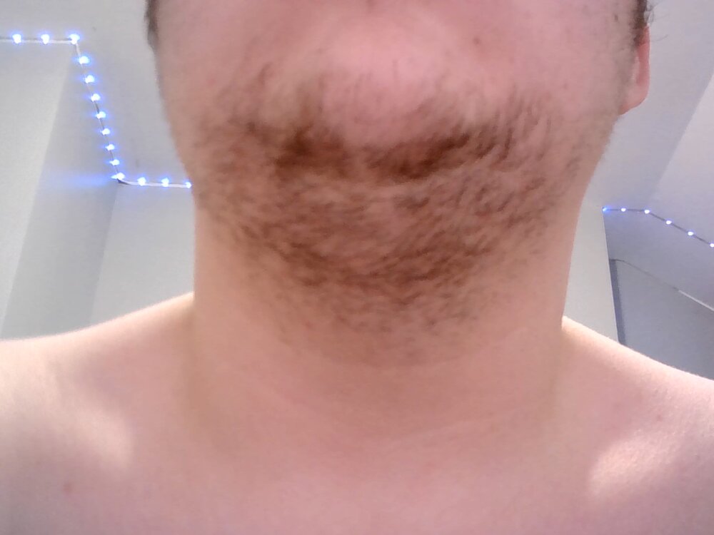 victorlepuis from stripchat