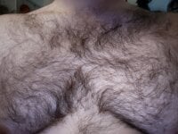 hairyboihard's webcam live show