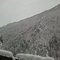 bufnita22's webcam live show