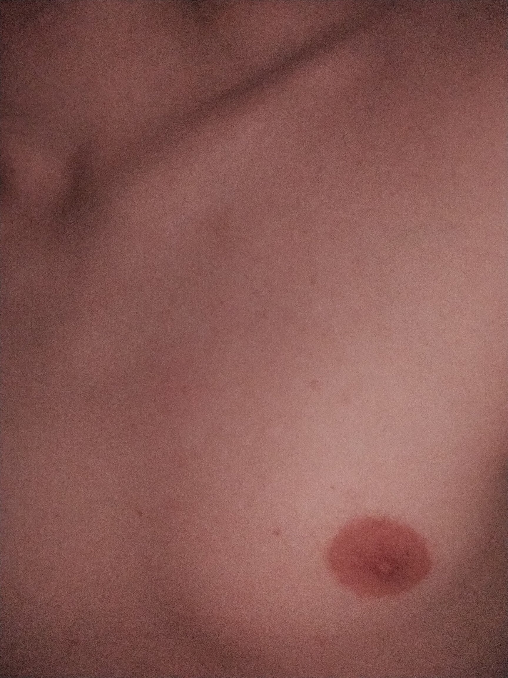 willsilva012000