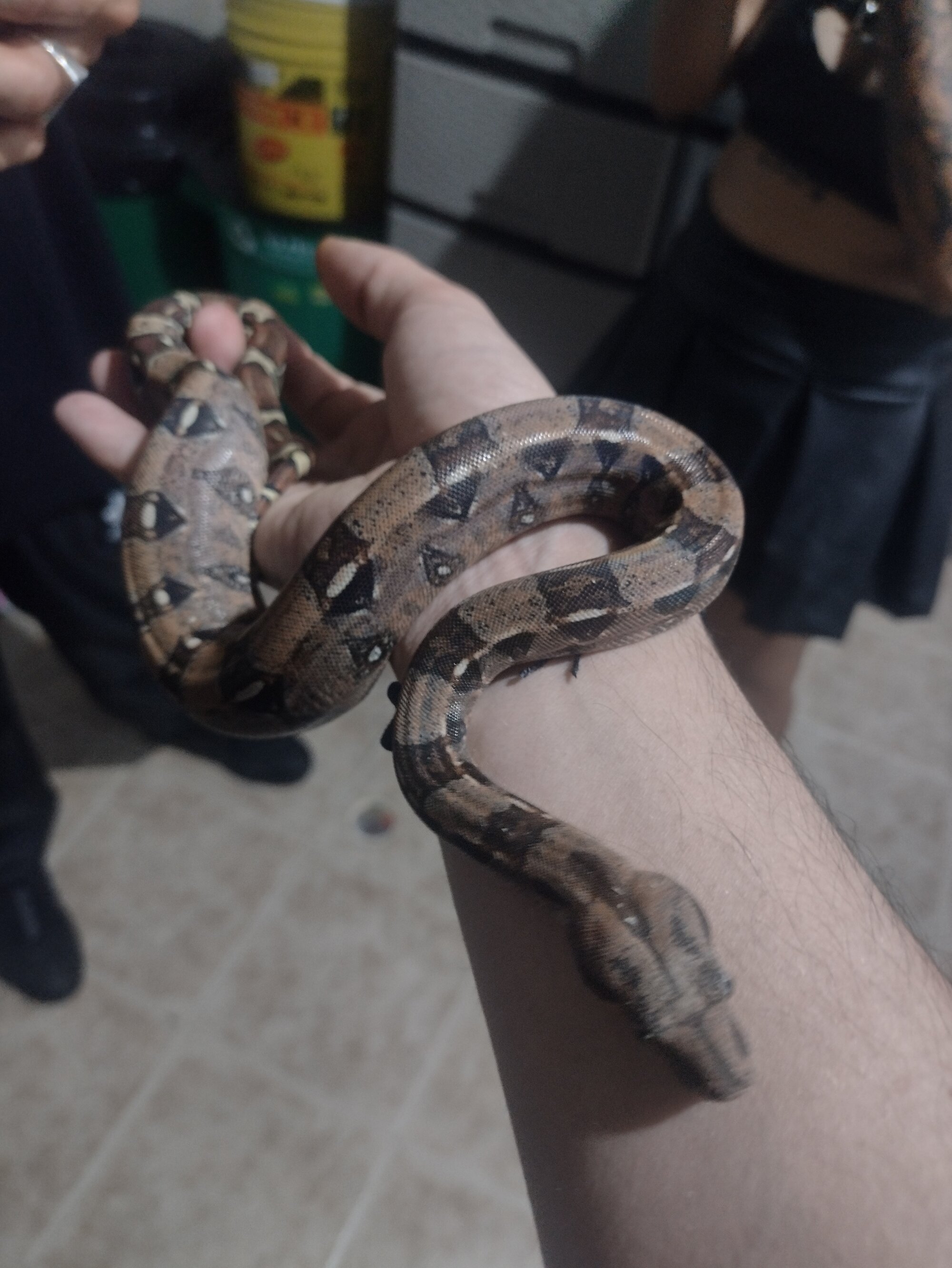 mascara_777333 live webcam