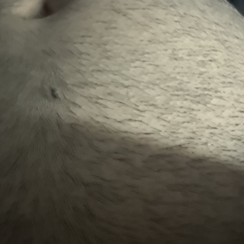 neueruff from stripchat