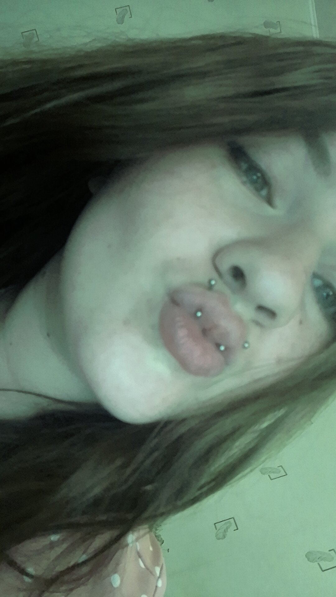 MilkDaizy