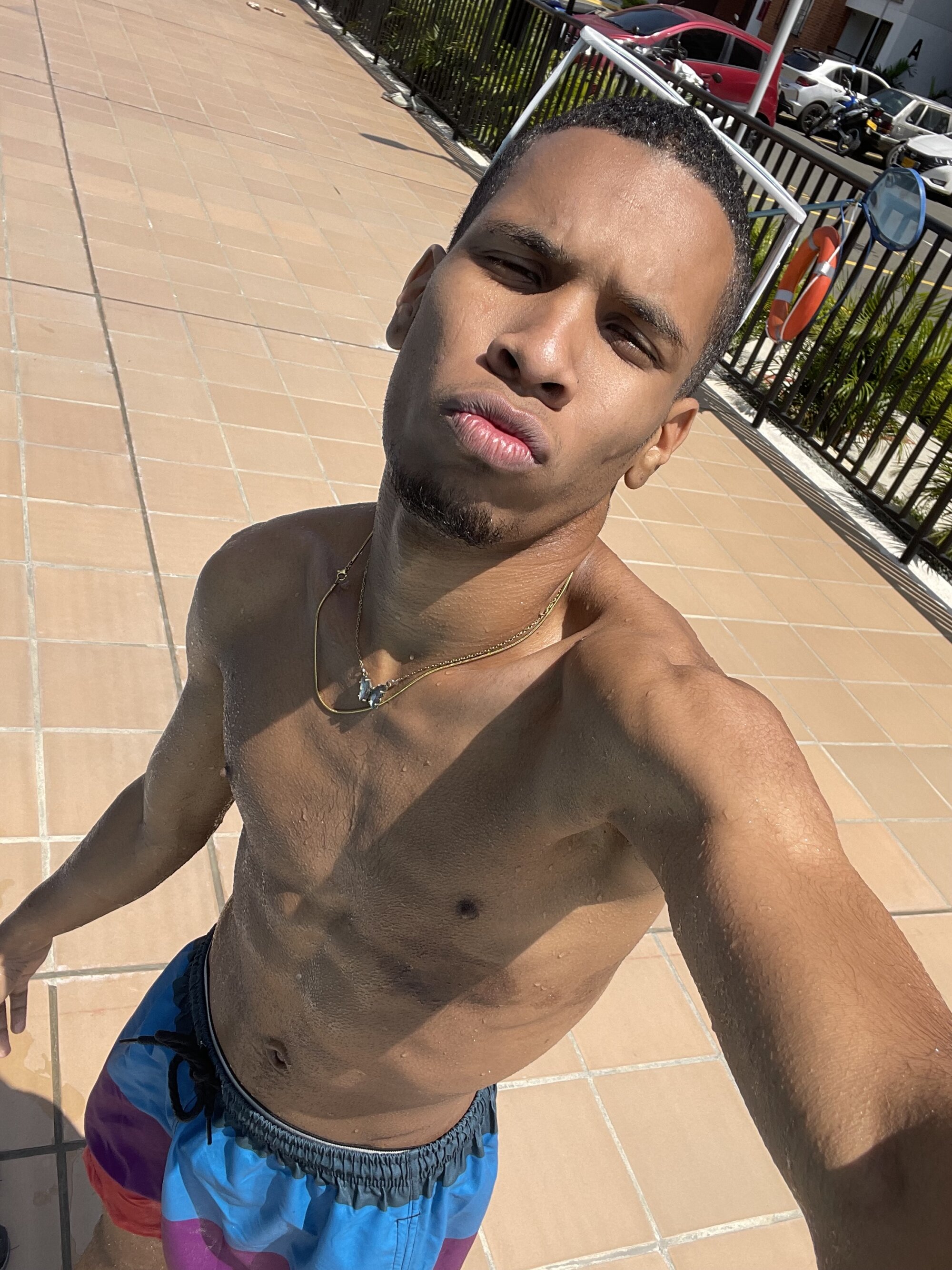 Vege_Valencia