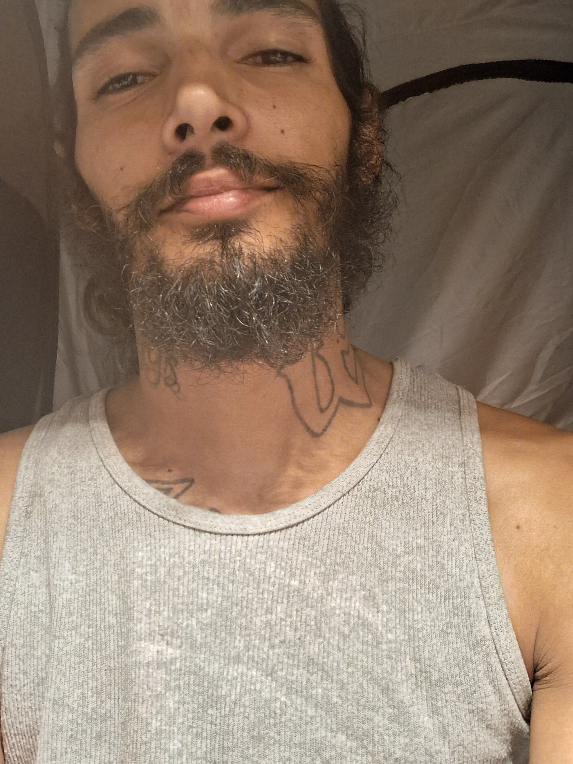 PapilongD909