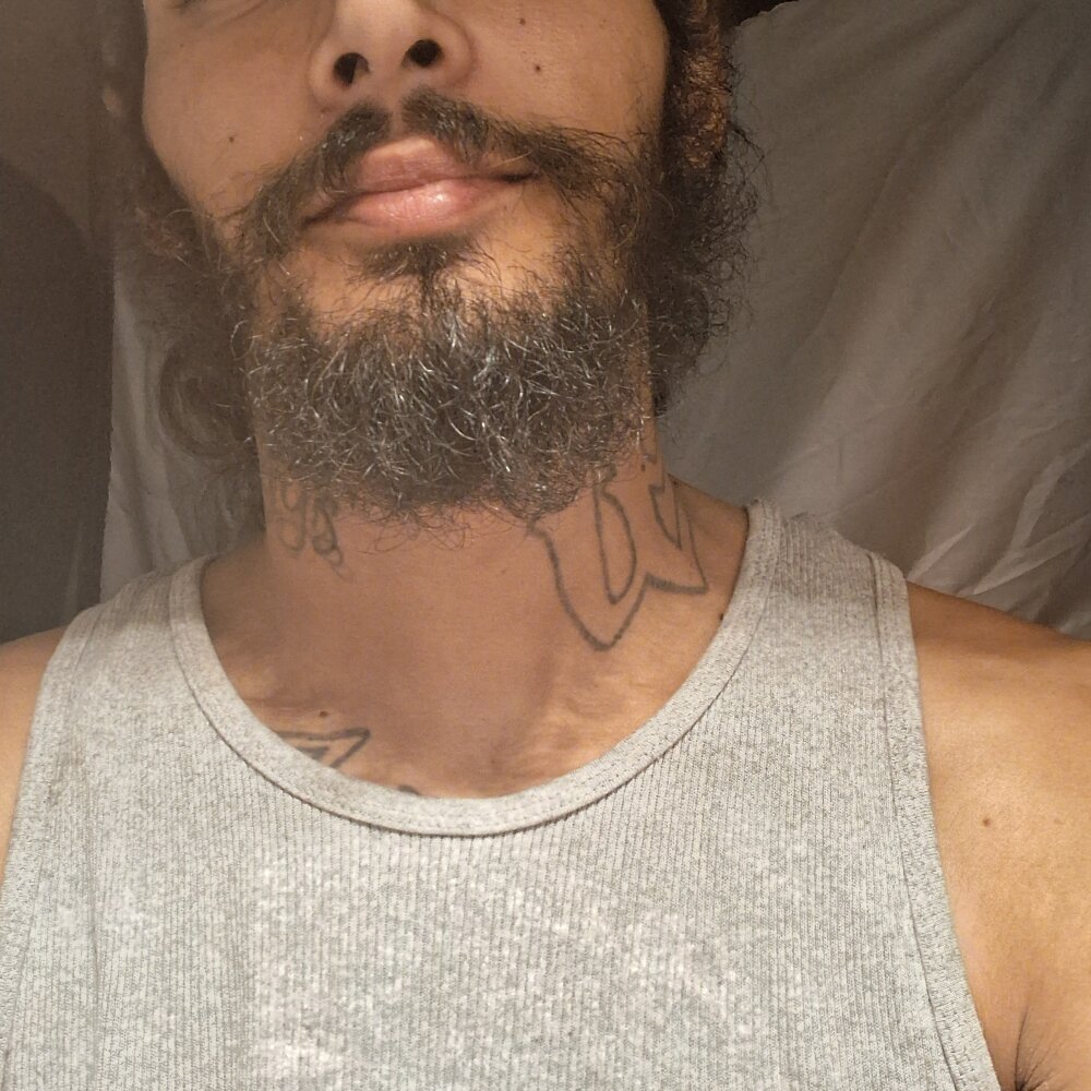 PapilongD909
