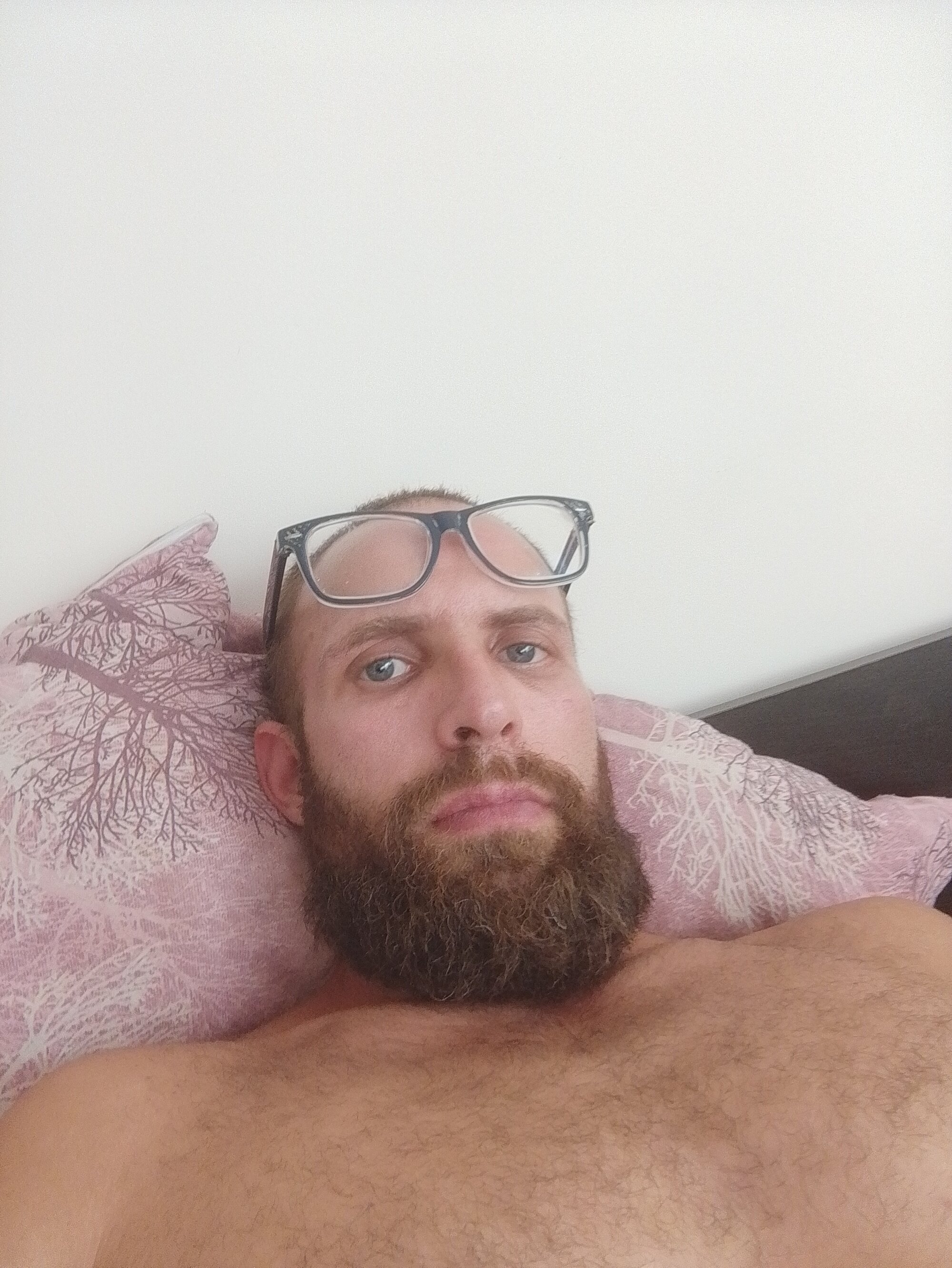 boholiii