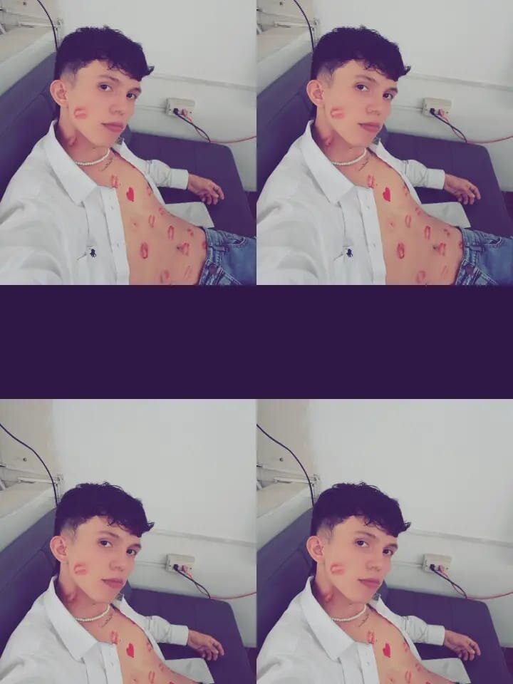 Nova_fox_