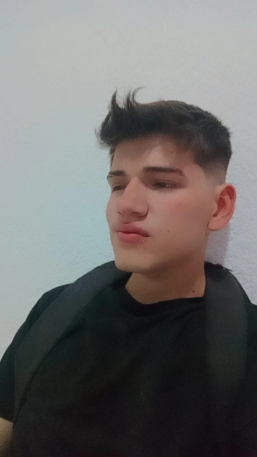 alan_hss