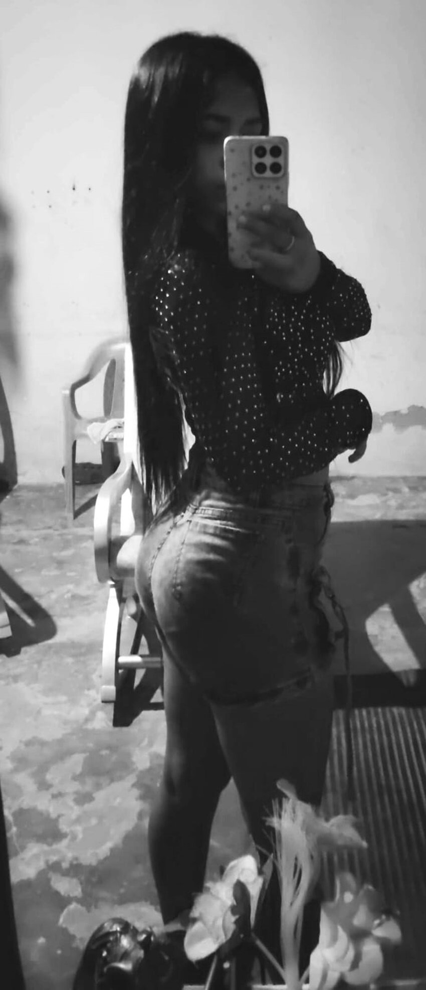 Yuleimys_rosse