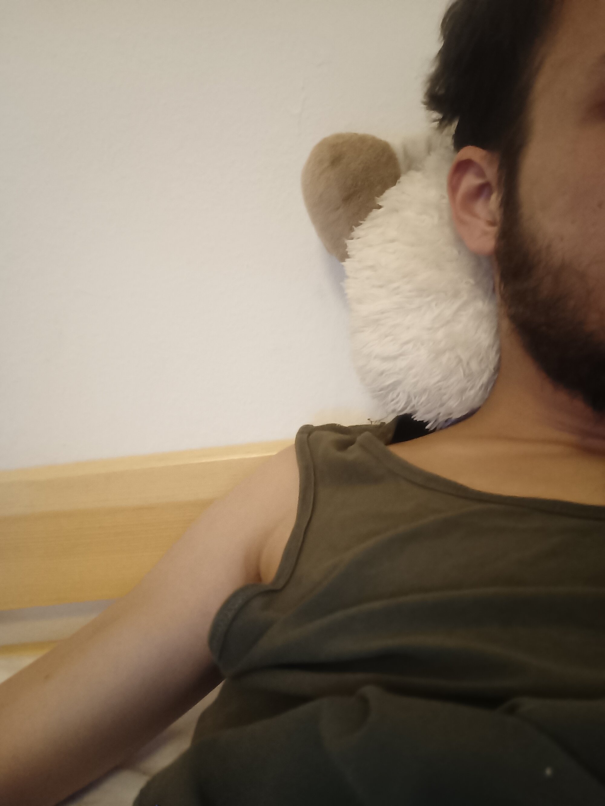 Hammleight