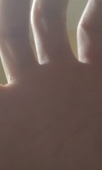 NickoHetero's webcam live show